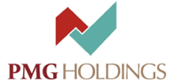 PMG HOLDINGS